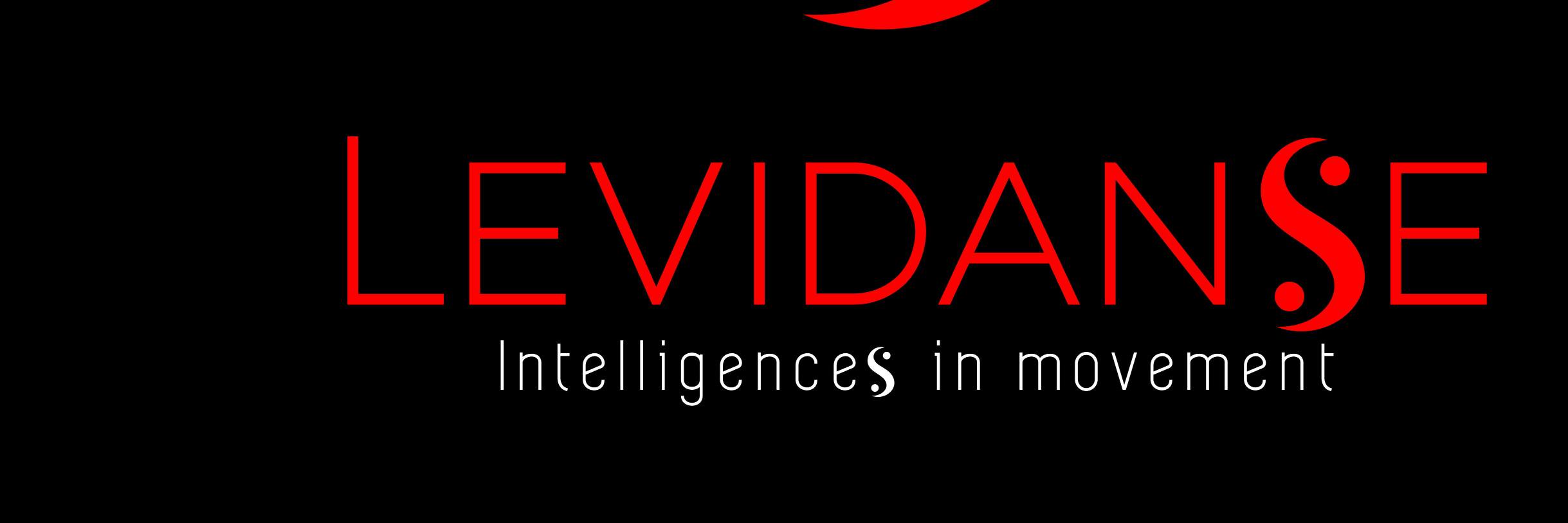 LevidanseFr's profile banner image