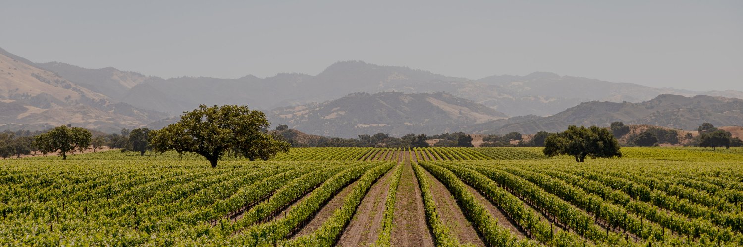 Visit the Santa Ynez Valley banner