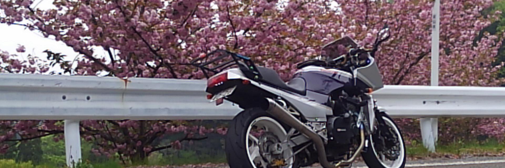ninja1025's profile banner image