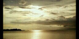 Maxiel banner