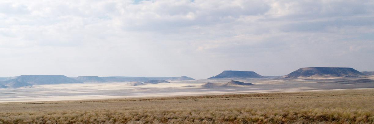 J. Sakari Salonen banner