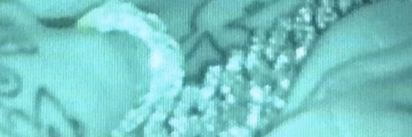 MiahMiahXO's profile banner image