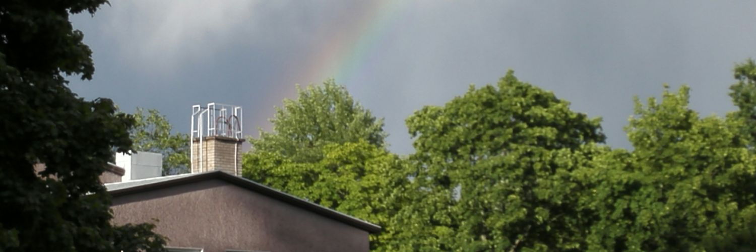 raolho's profile banner image