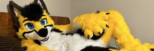 Zale__Husky Profile Banner