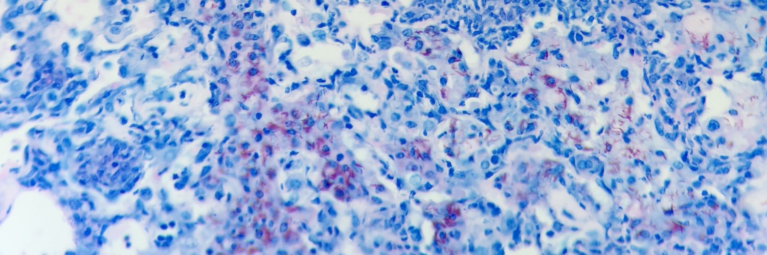 Daniel Barber, PhD banner