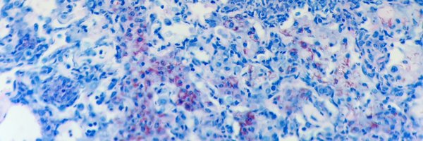 danielleobarber Profile Banner