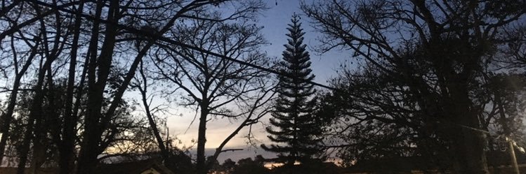 joaochemello1's profile banner image