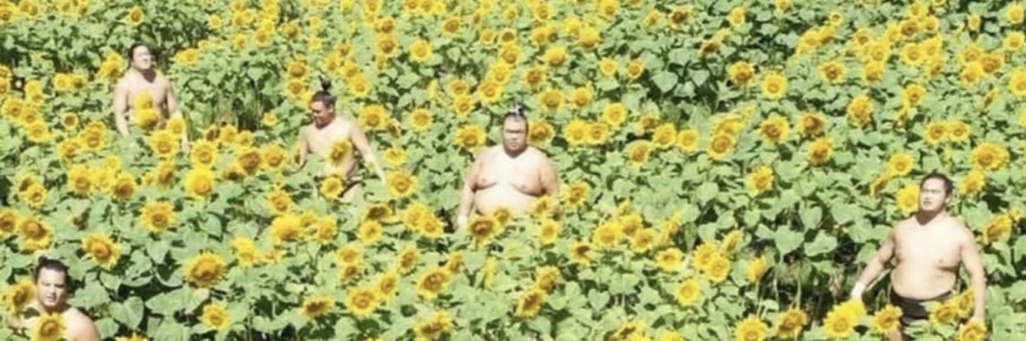 DilllPick's profile banner image