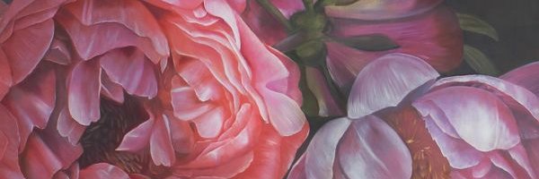 AmandaTestini's profile banner image