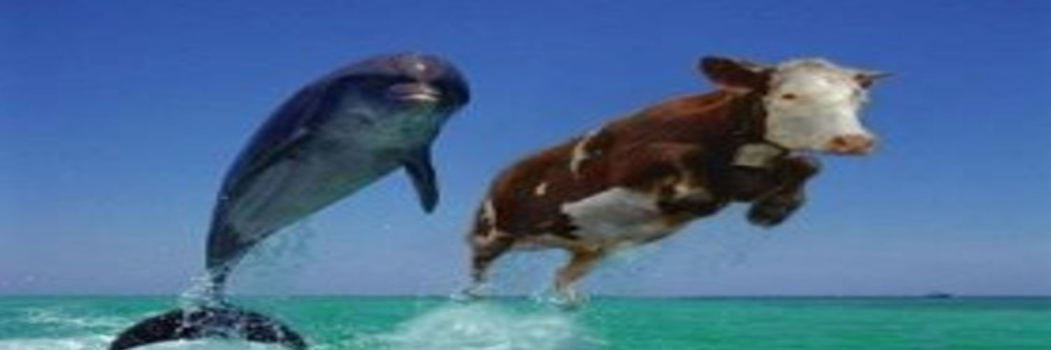 Championboy3's profile banner image