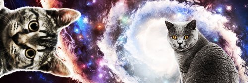 dunnowuttodo's profile banner image