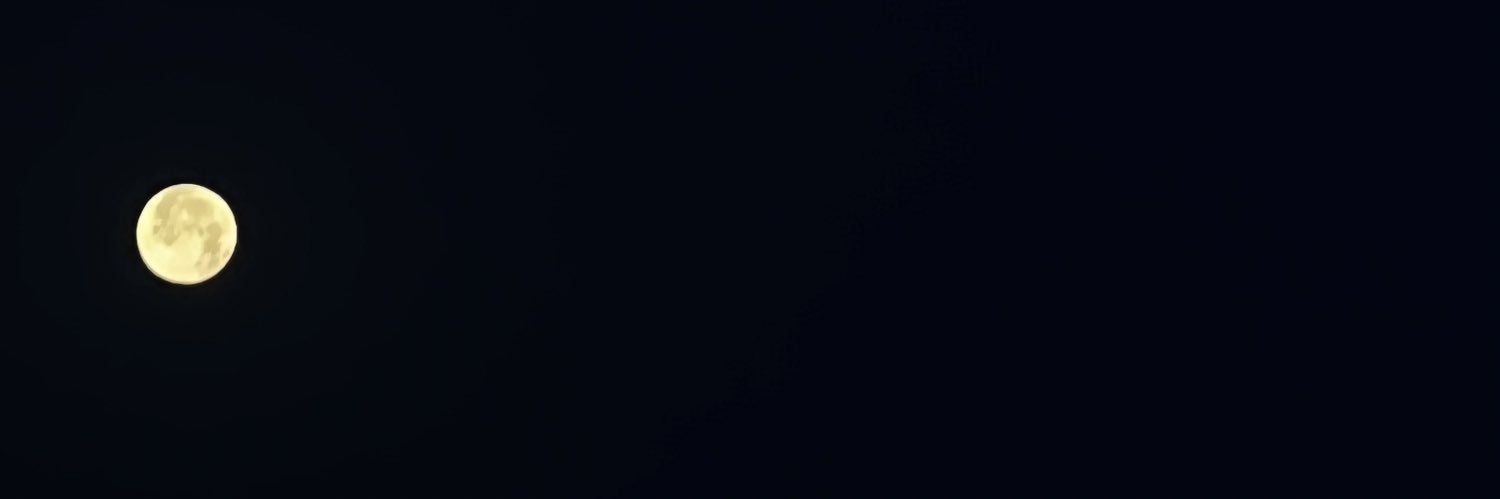 sn3s21's profile banner image