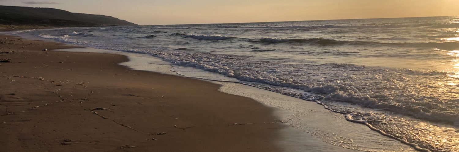 kellymd6's profile banner image