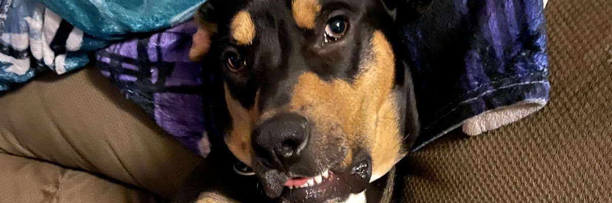 brownienuts19's profile banner image