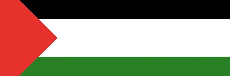 Lil BB 🌈🏳️‍🌈 banner