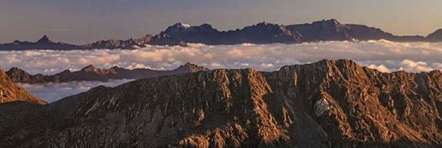 STAALMAN's profile banner image