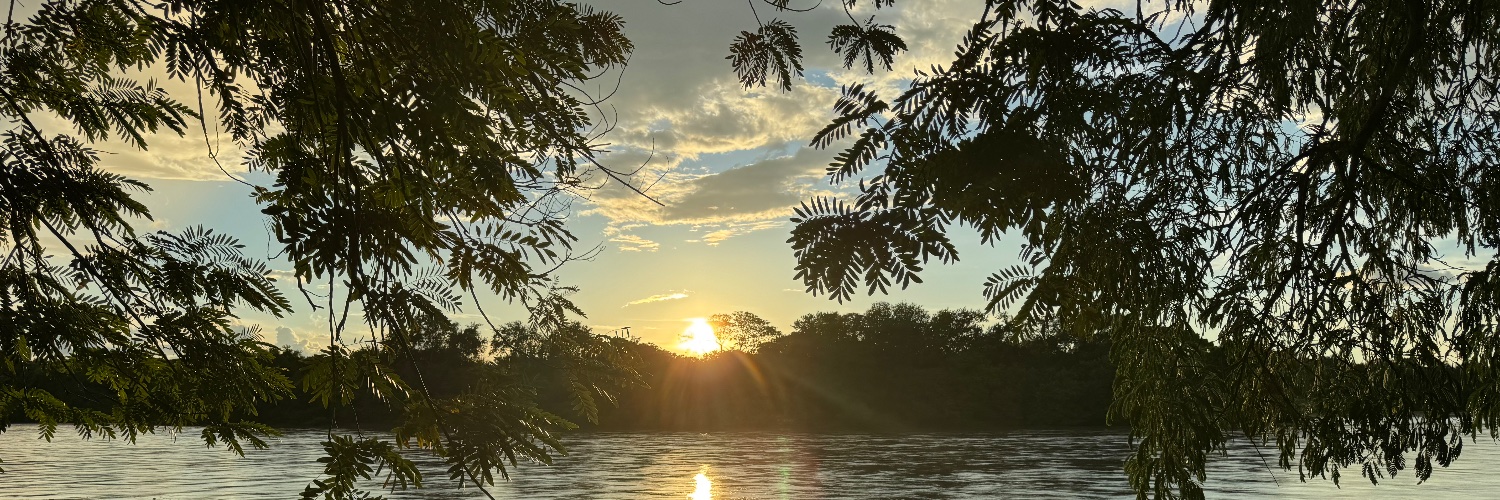 Rothschild 🇮🇱 🇨🇴 banner