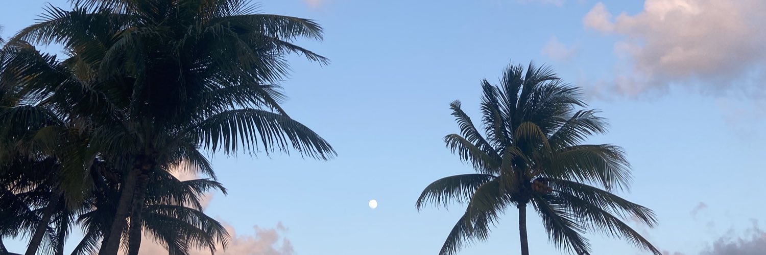 Diana Alondra 🍉 banner