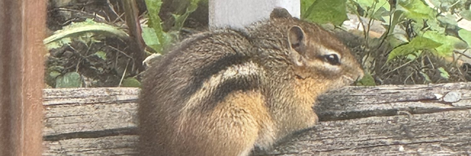 MichigaNick22's profile banner image