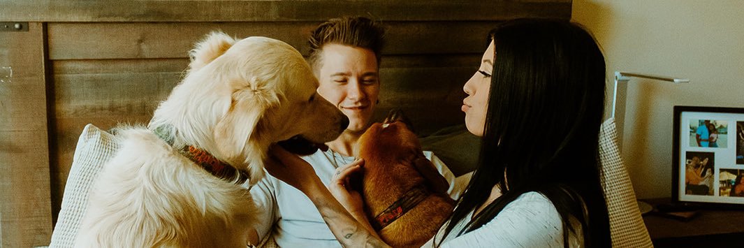 baileynwoods's profile banner image