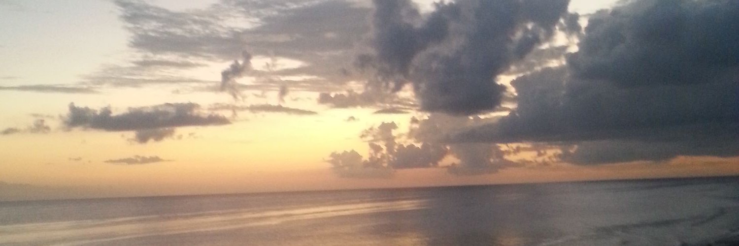 423_5768's profile banner image
