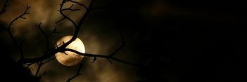 eddofsa's profile banner image