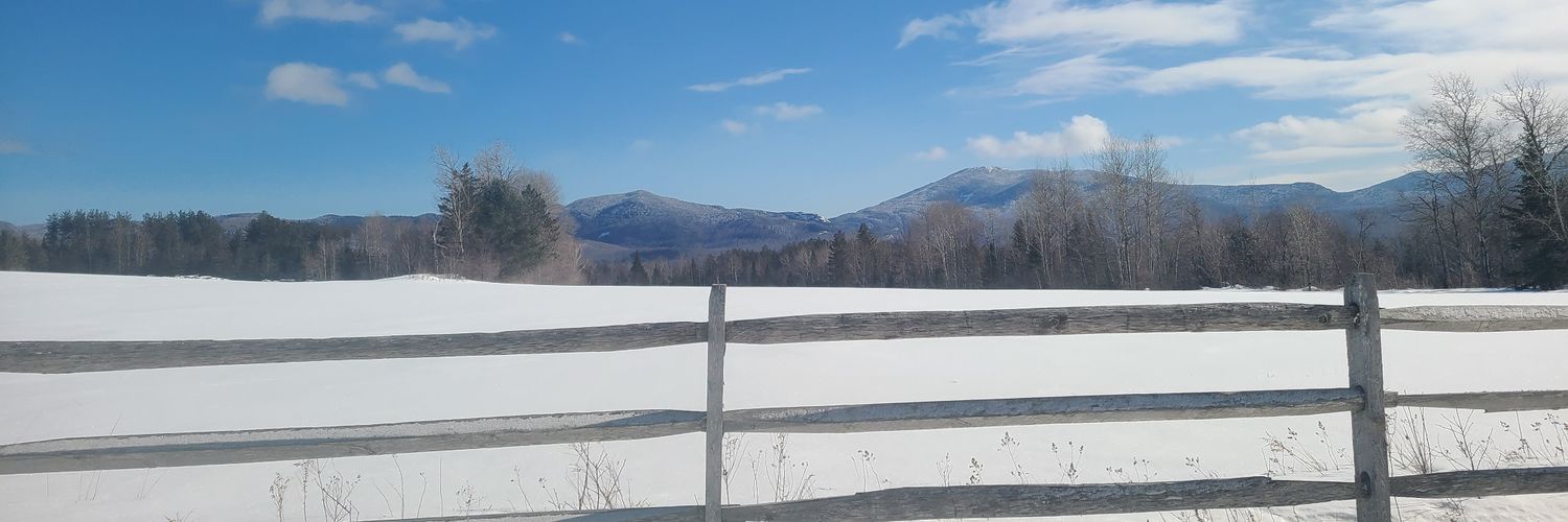 TJones969's profile banner image