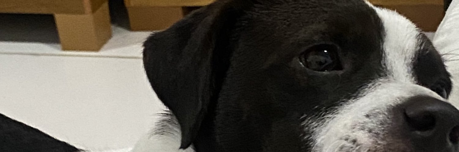 Celo_CReis's profile banner image