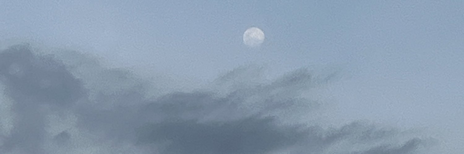 XIIIIIIXXIII's profile banner image