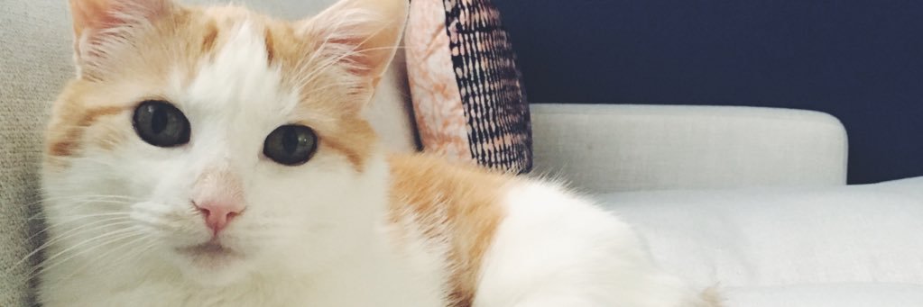 SnickleSays's profile banner image