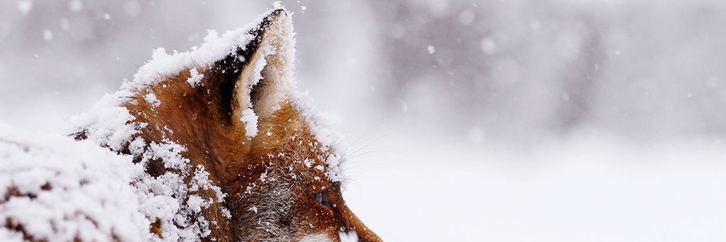 KaysBurner's profile banner image