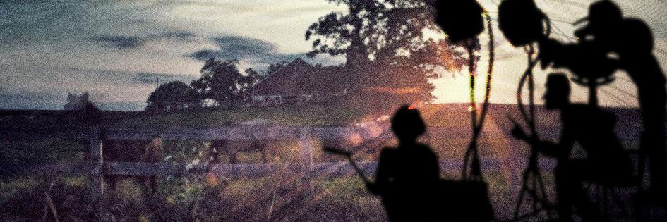 CedarPictures's profile banner image