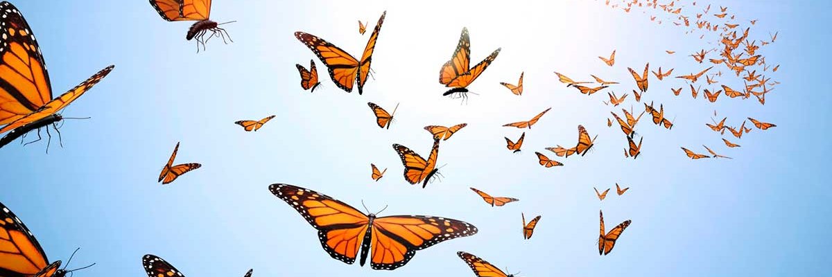 MsTarynBates's profile banner image