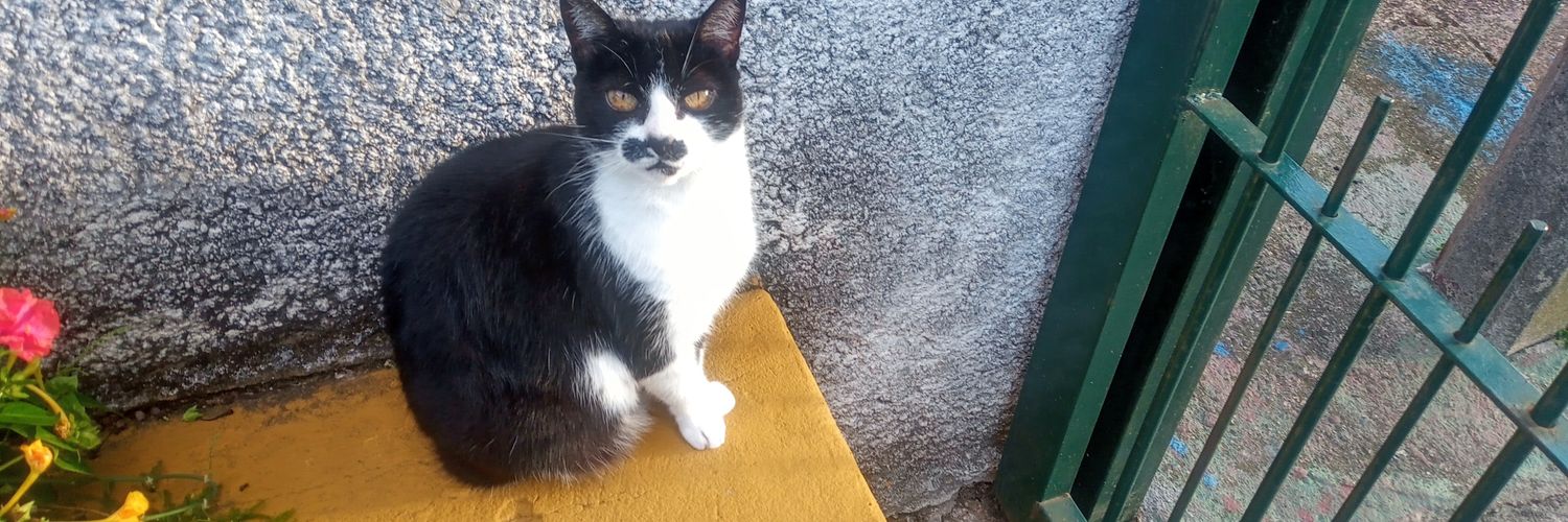 Eduardo Ancho banner