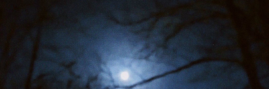 Larrylittlestar's profile banner image