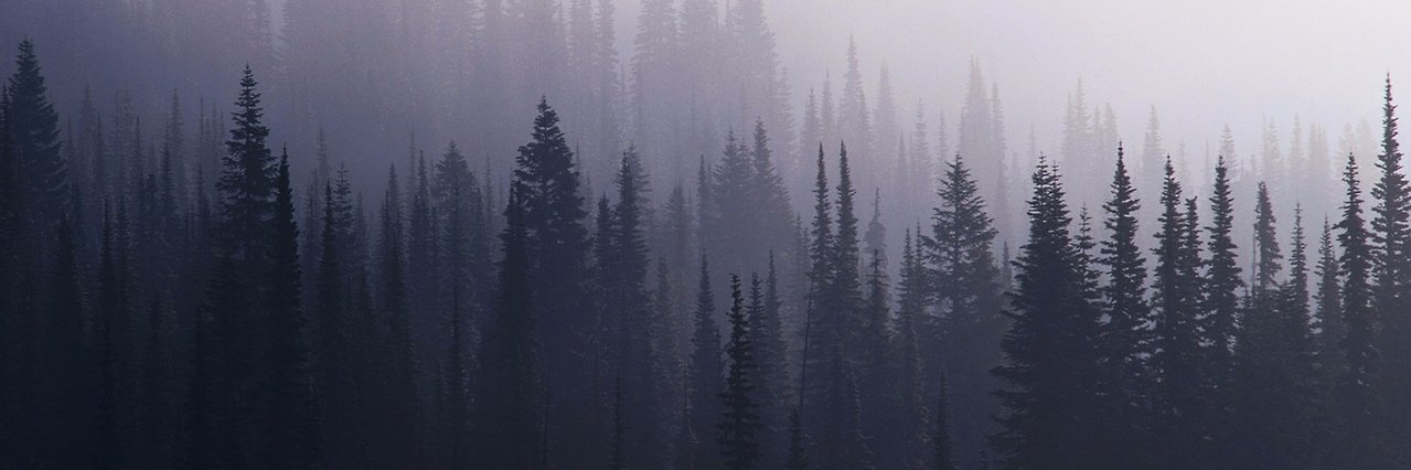 frickurmum's profile banner image