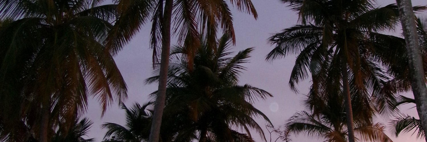 kloe banner