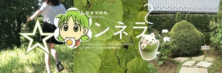 viienna the kid. ヴィエナ🍏⭐ banner