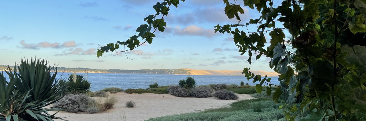 Patrick MERCIÉ banner