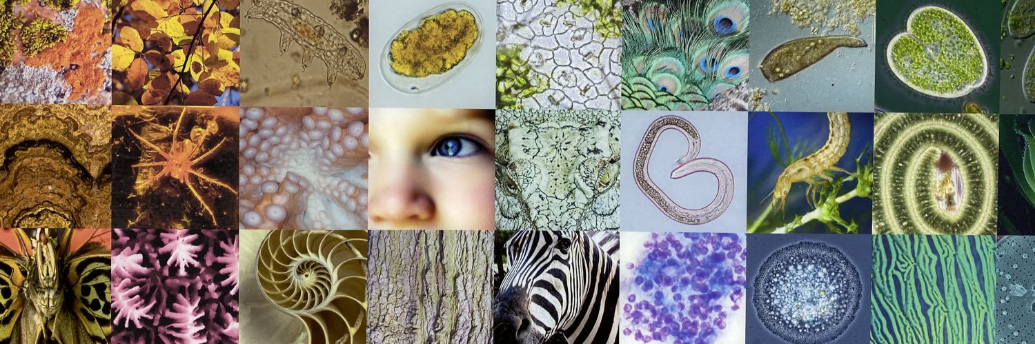 uniquehumann's profile banner image