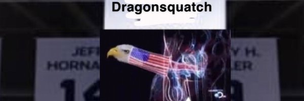 dragonsquatch Profile Banner