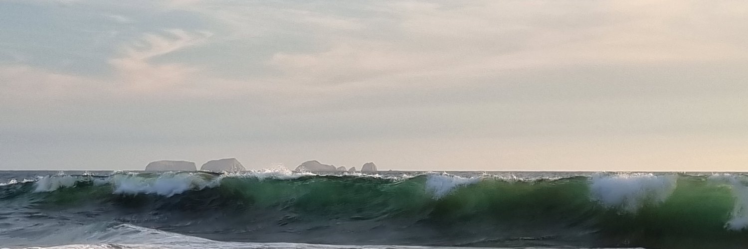 Mariana banner