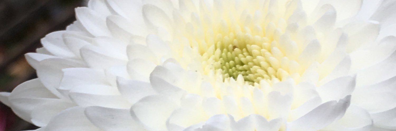 hkaplan70's profile banner image