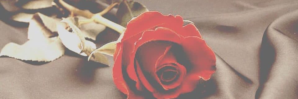 Disney_rapmd's profile banner image