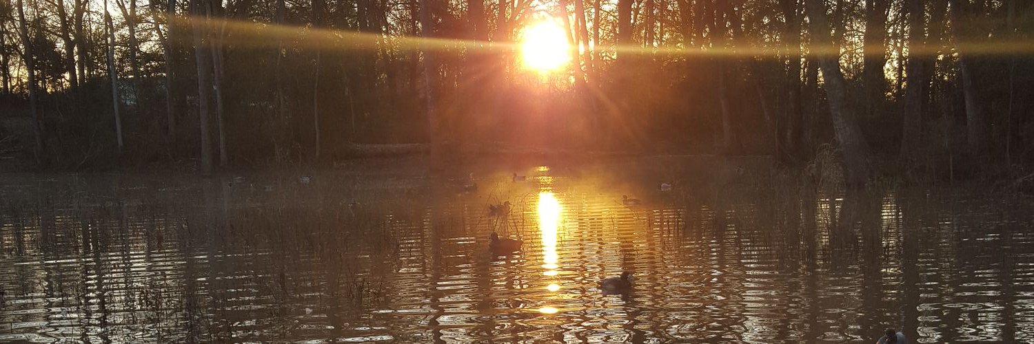 Kik'n Wing WaterFowl banner