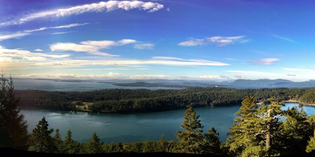 Patrick Brown 白龙 banner