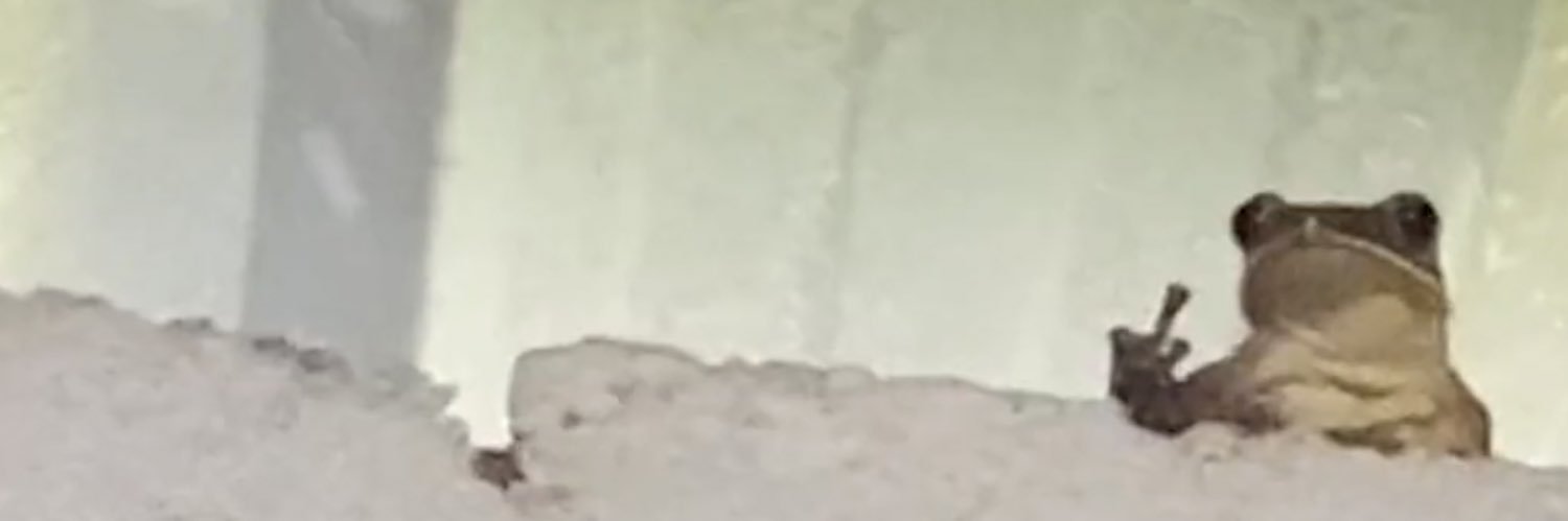 Heibel55's profile banner image