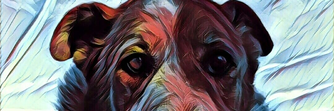 TobasaurusRex's profile banner image