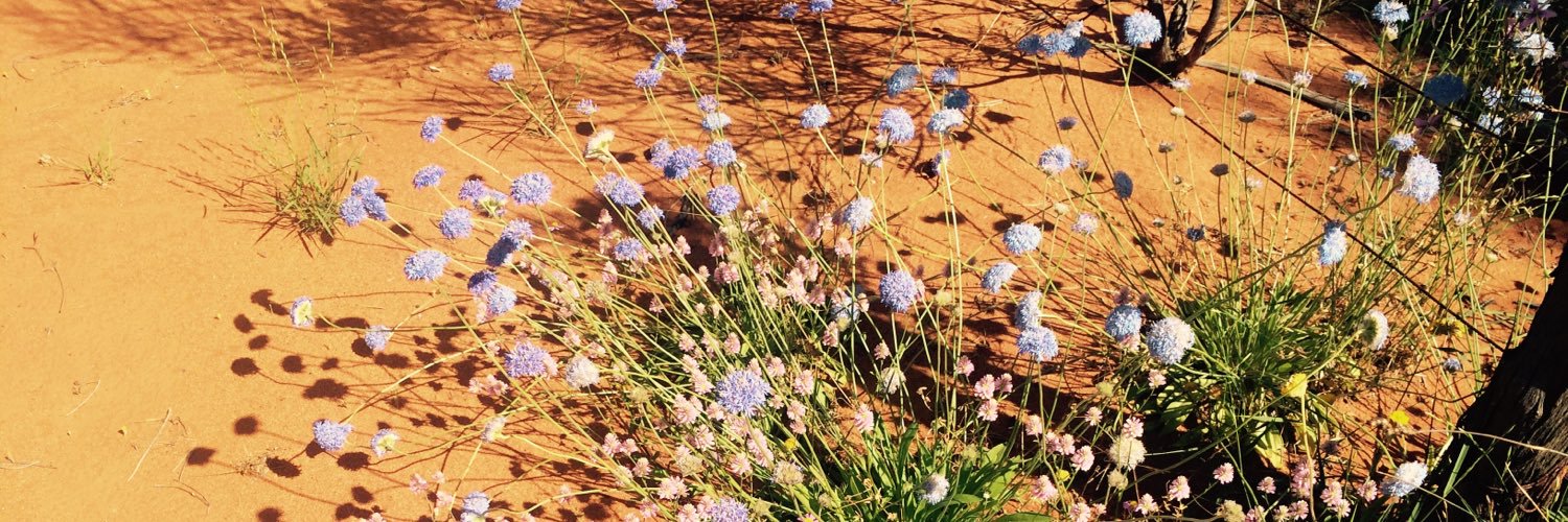 KatAlexander10's profile banner image