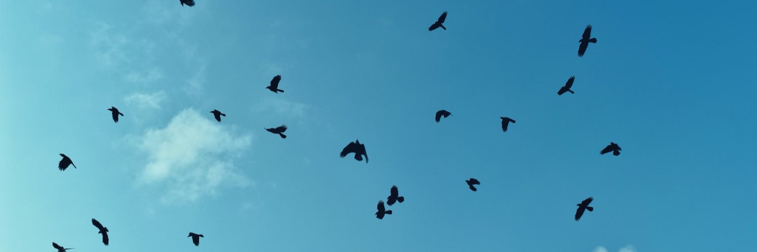 insxxxtx banner